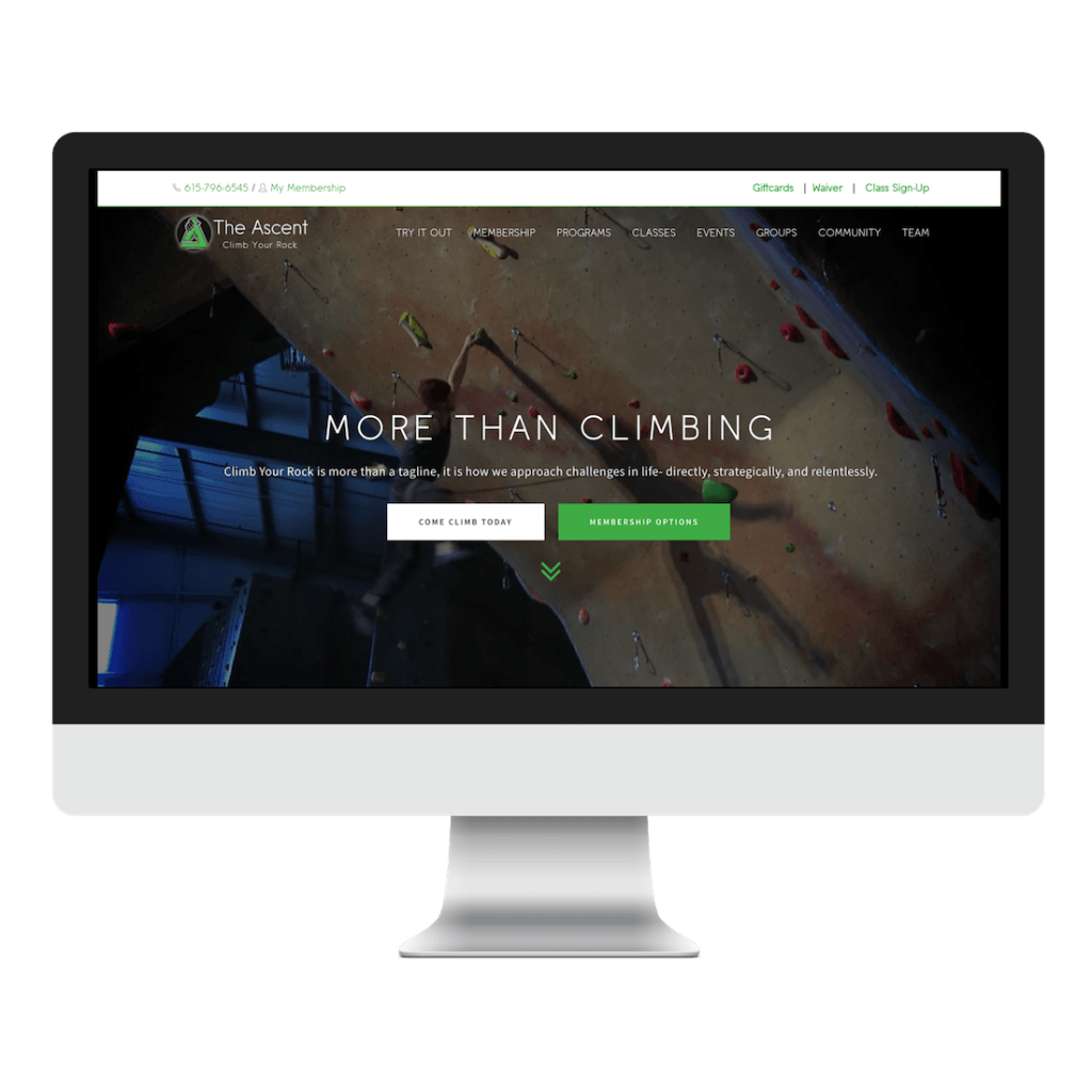 portfolio creative boro